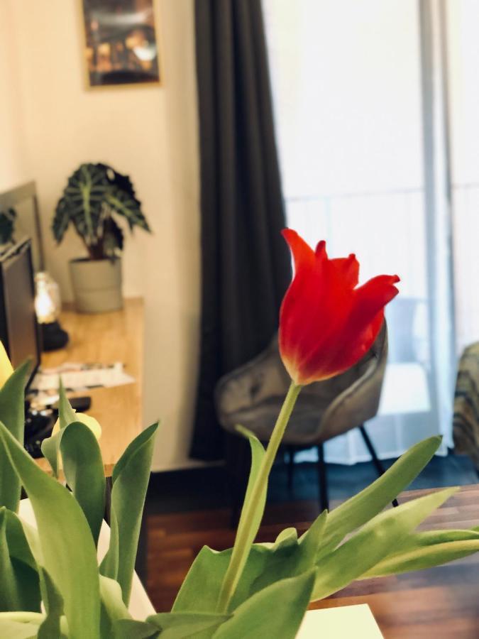 Voyage City Apartments Krakow Dış mekan fotoğraf